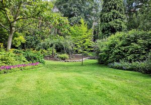 Optimiser l'expérience du jardin à Crezancay-sur-Cher